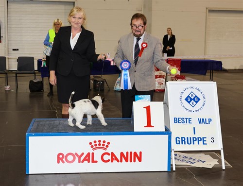 Beste Valp gr 3