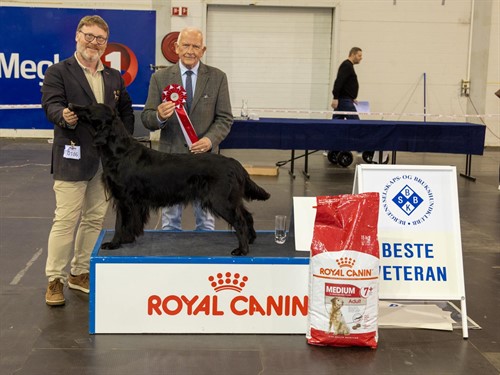 Beste veteran lørdag