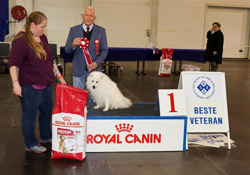 Beste veteran søndag